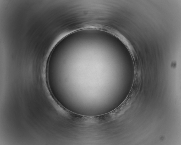 X0000103330811200809051208