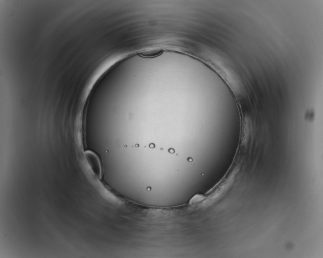 X0000103330812200809051208