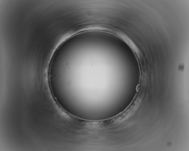 X0000103330813200809051208