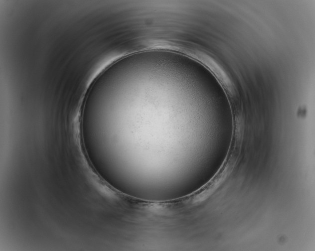 X0000103330814200809051208