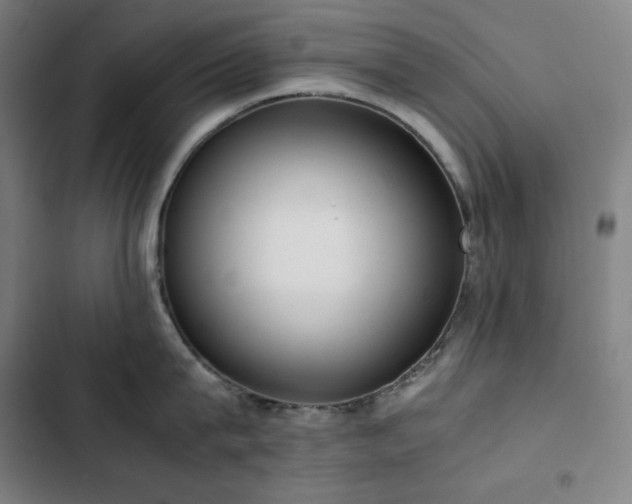 X0000103330815200809051208