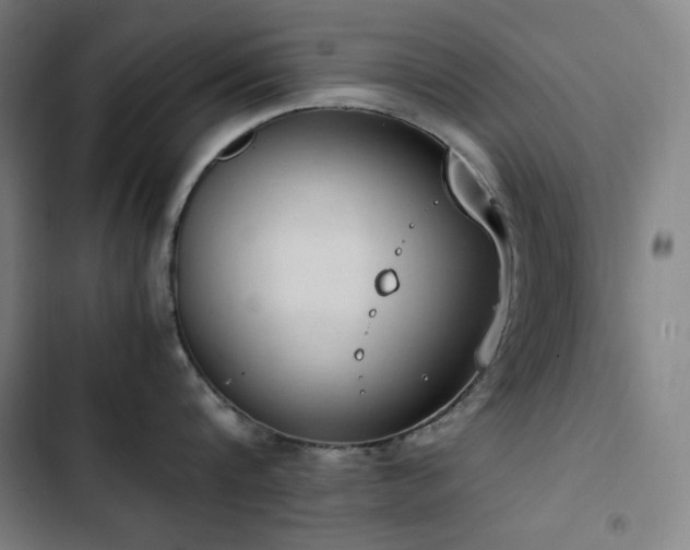 X0000103330816200809051208