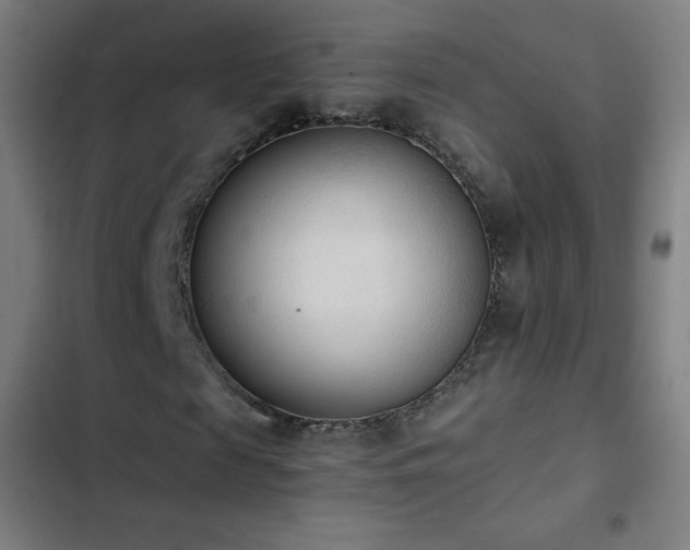 X0000103330817200809051207