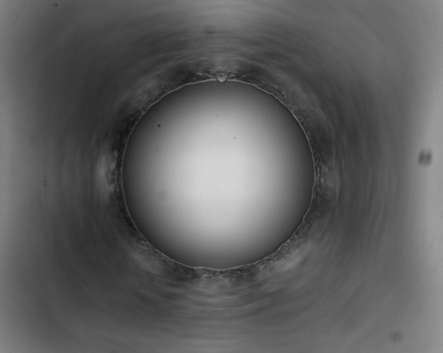 X0000103330818200809051207