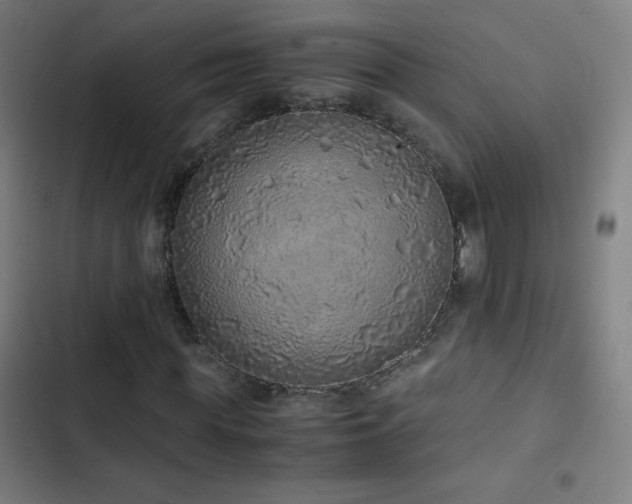 X0000103330819200809051207