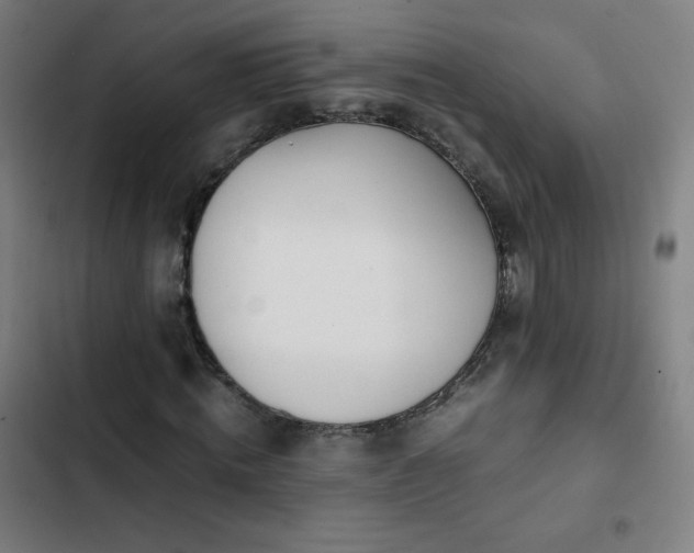 X0000103330820200809051207