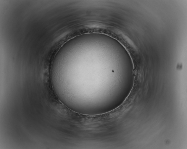 X0000103330821200809051207