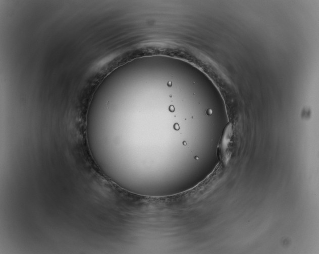 X0000103330822200809051207