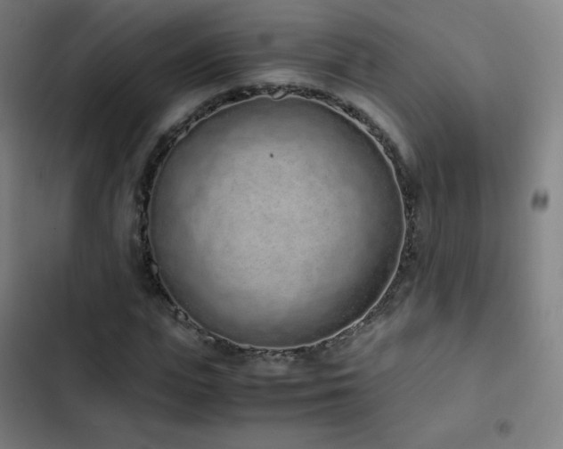 X0000103330823200809051207