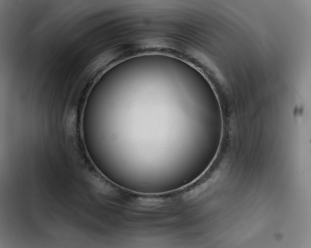 X0000103330825200809051207