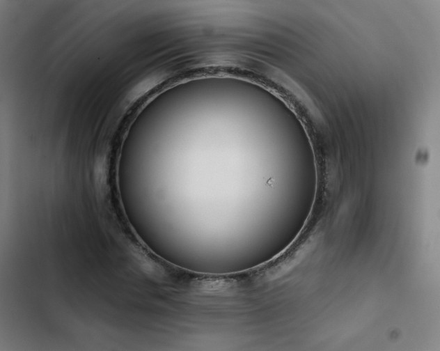 X0000103330826200809051207