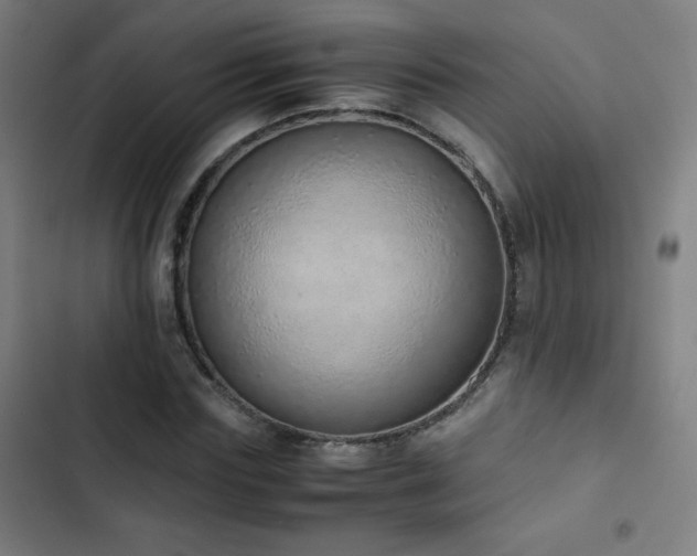 X0000103330827200809051207