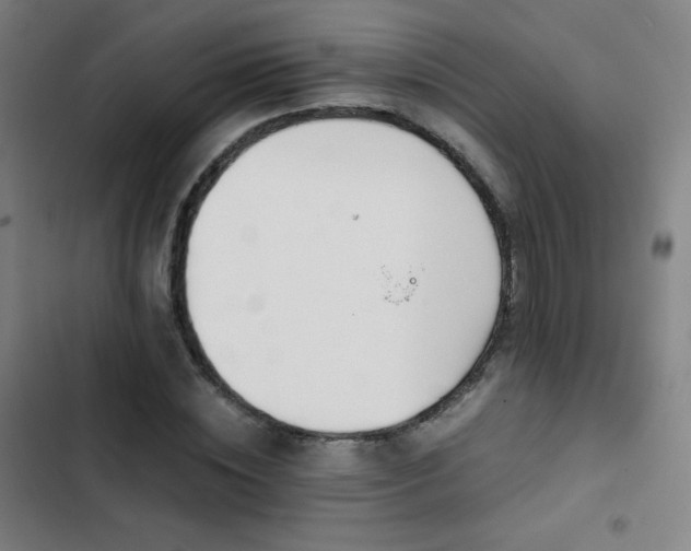 X0000103330828200809051207