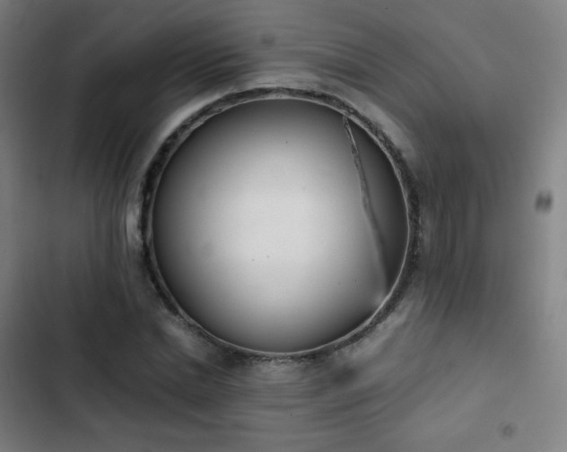 X0000103330830200809051207