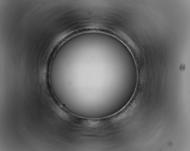 X0000103330831200809051207