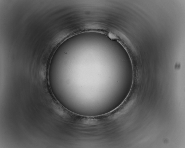 X0000103330833200809051207