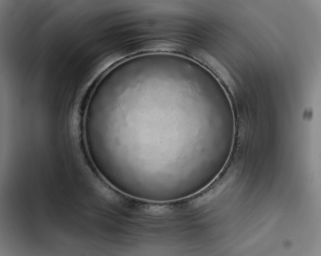 X0000103330835200809051207