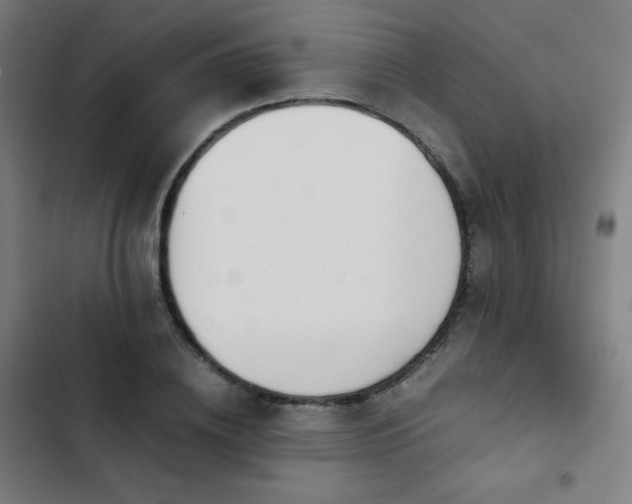 X0000103330836200809051207