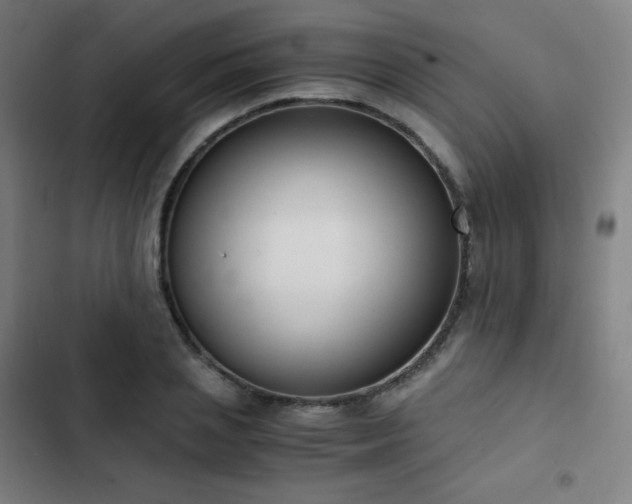 X0000103330837200809051207