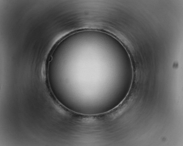 X0000103330838200809051208