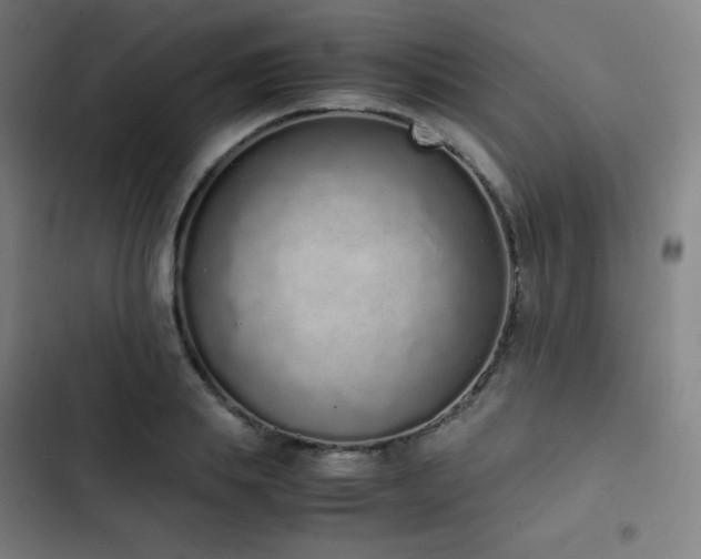 X0000103330839200809051208