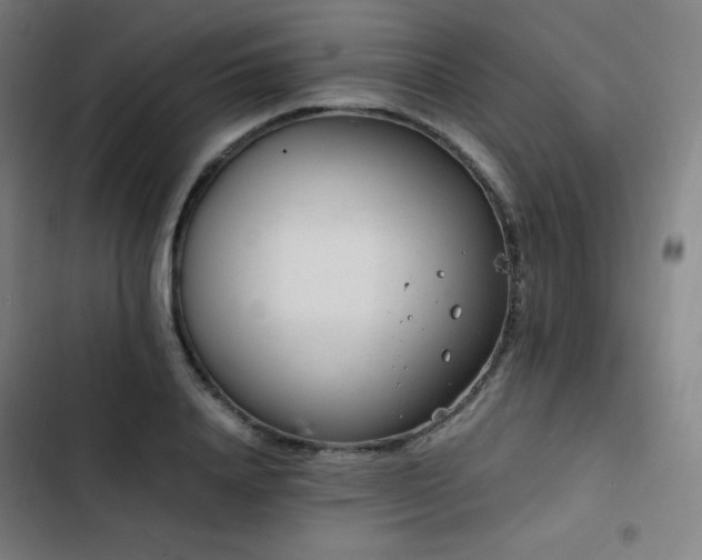 X0000103330840200809051208