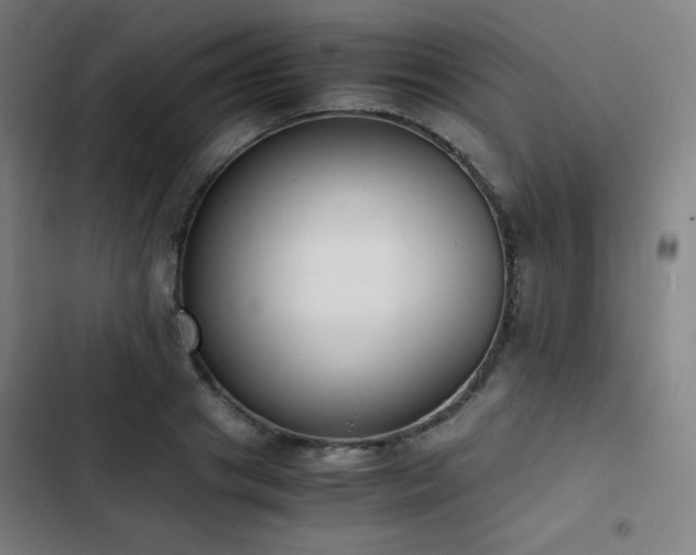 X0000103330841200809051208