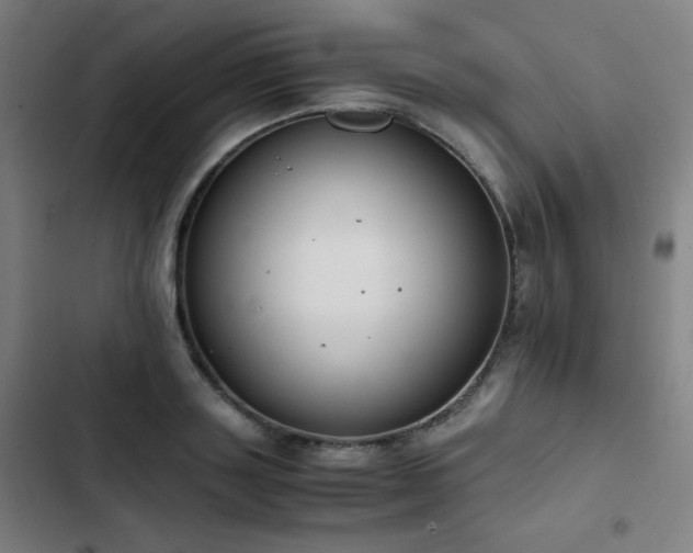 X0000103330843200809051208