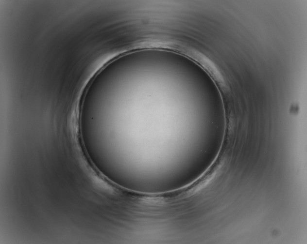 X0000103330844200809051208