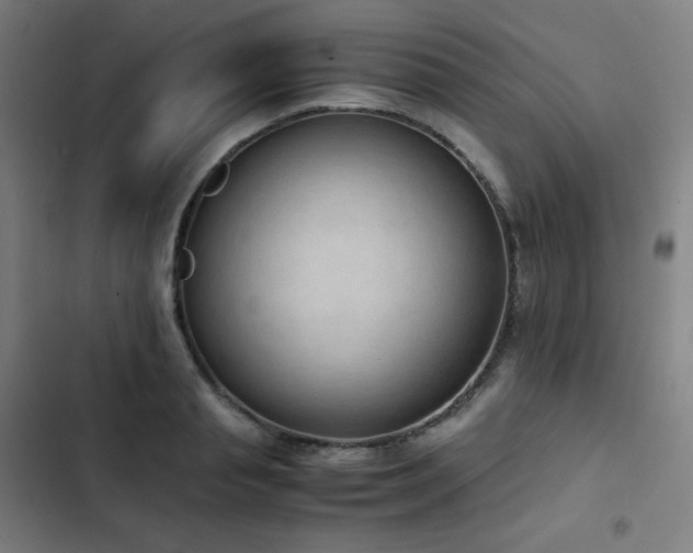 X0000103330845200809051208