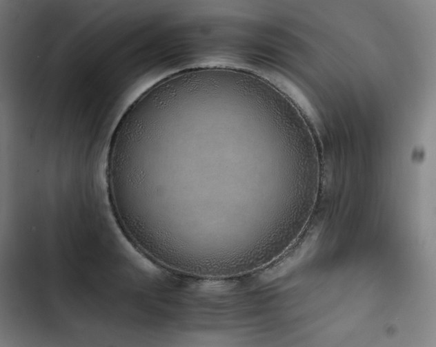 X0000103330847200809051208