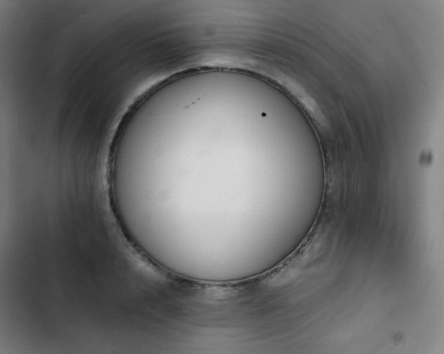 X0000103330848200809051208