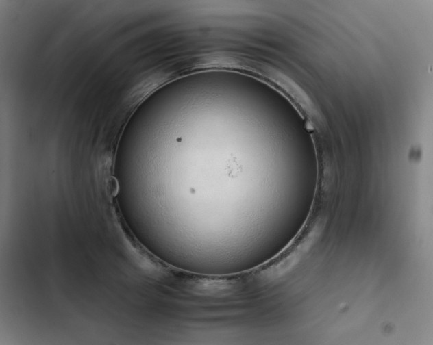 X0000103330849200809051208