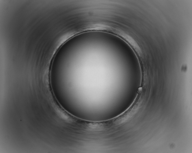 X0000103330850200809051208