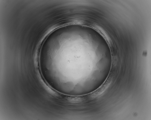 X0000103330851200809051208