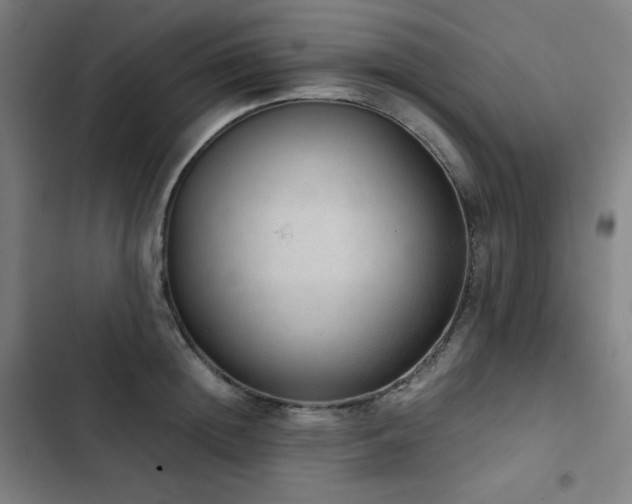 X0000103330852200809051208