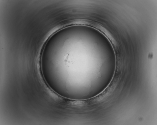 X0000103330853200809051208