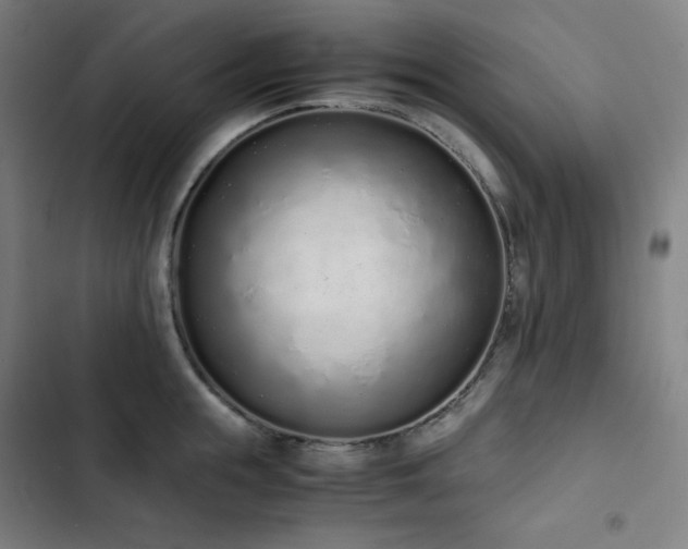 X0000103330855200809051208