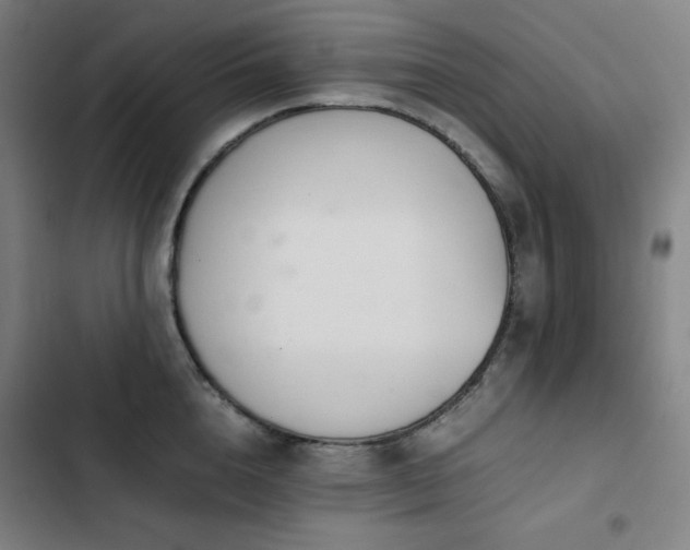 X0000103330856200809051208