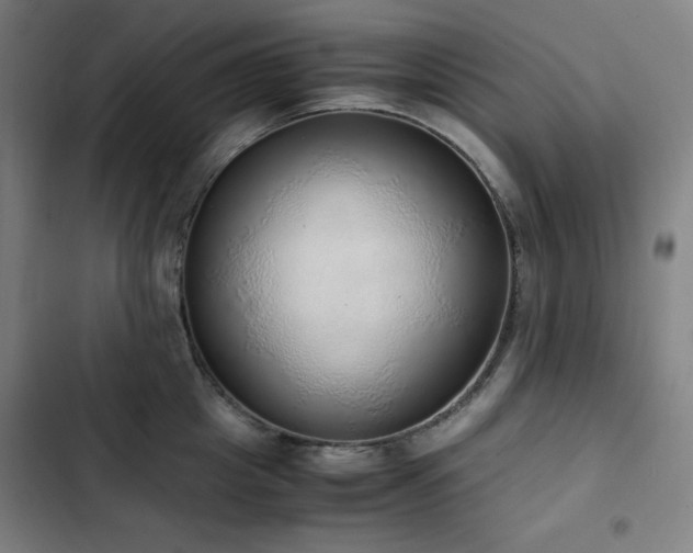 X0000103330857200809051208