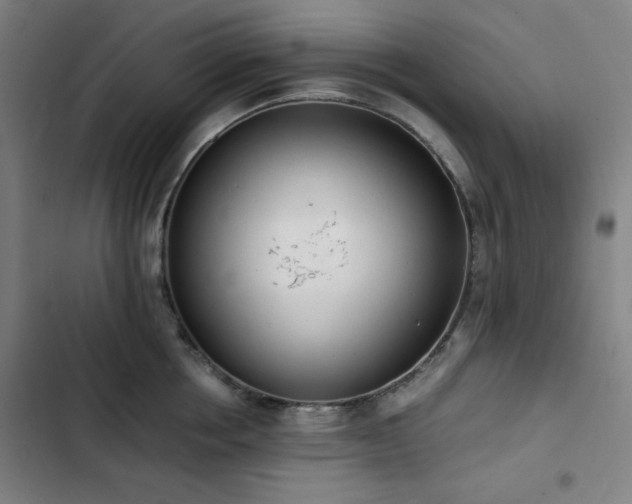 X0000103330858200809051208