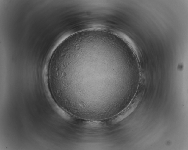 X0000103330859200809051208