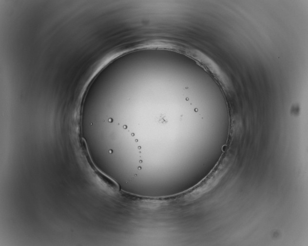 X0000103330860200809051208