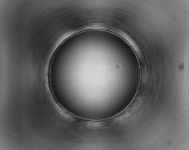 X0000103330861200809051208