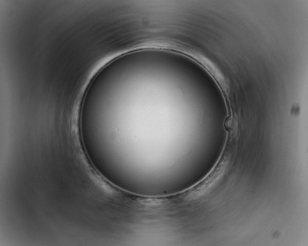 X0000103330862200809051208