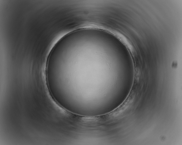 X0000103330863200809051208