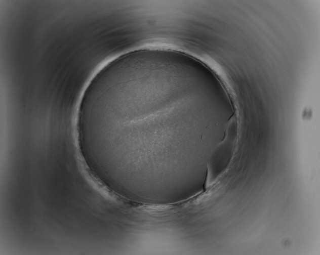 X0000103330864200809051208