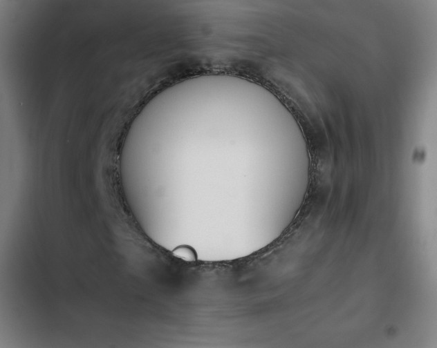 X0000103330865200809051207