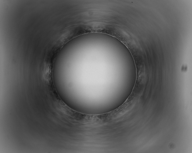 X0000103330866200809051207