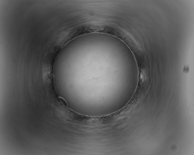 X0000103330867200809051207